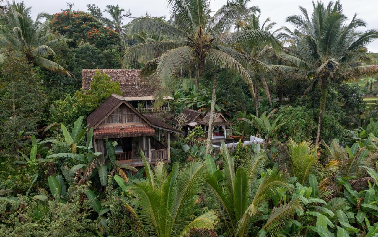 Niente Bali Villa Penebel Luaran gambar