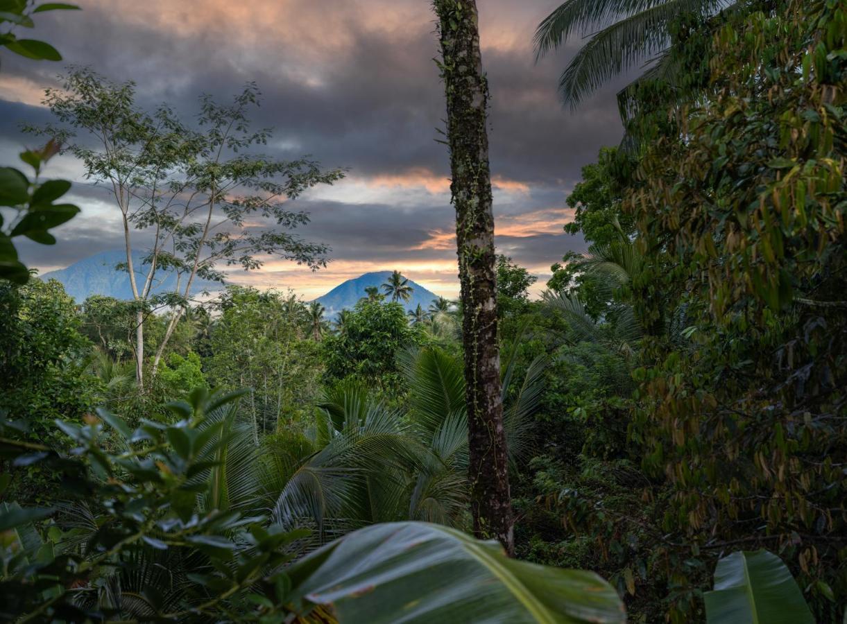 Niente Bali Villa Penebel Luaran gambar